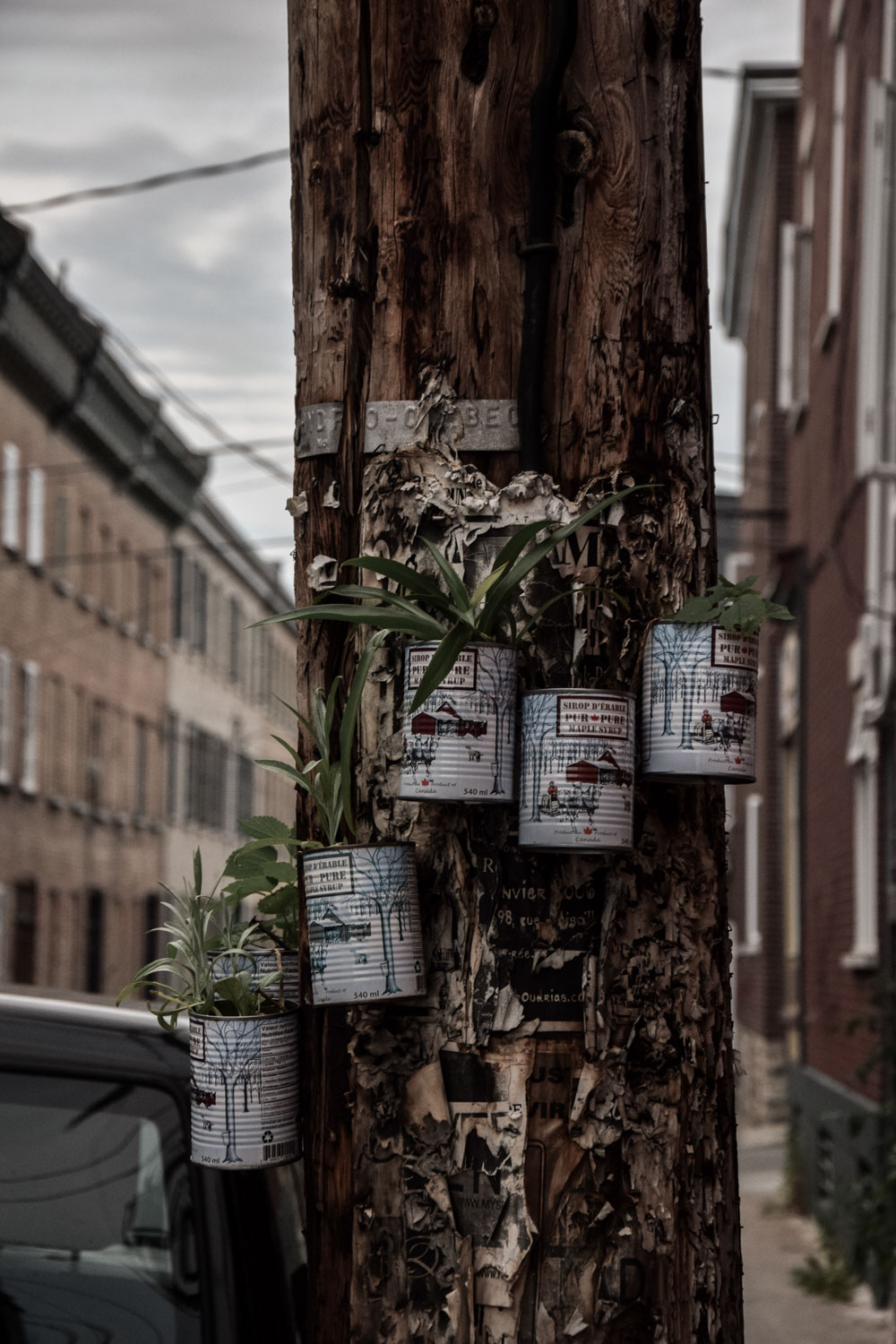 Photo-Sarah-HIRTZ-34