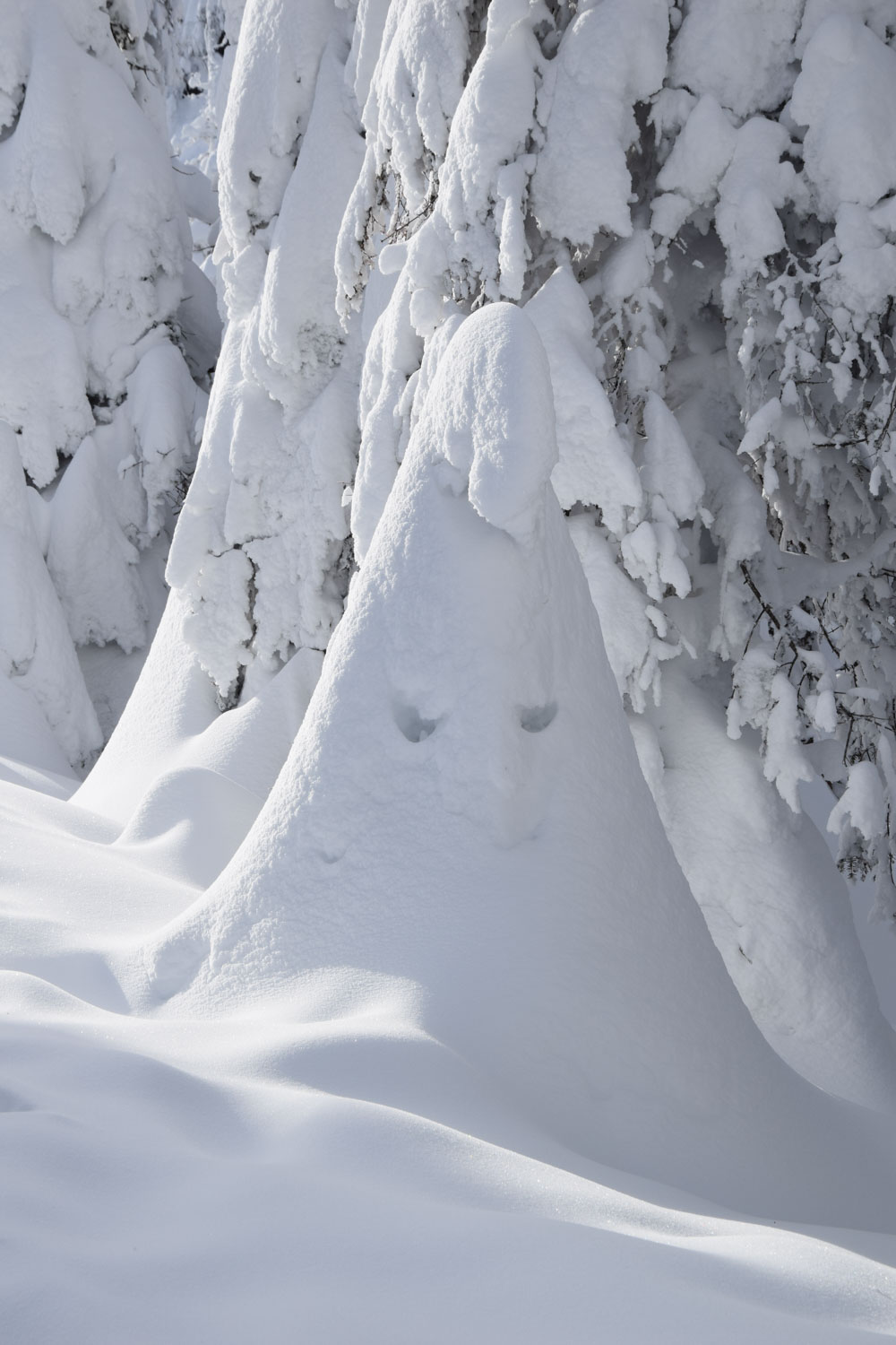 Photo-Sarah-HIRTZ-55