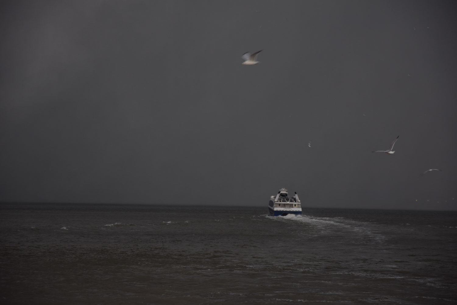 Photo-Sarah-HIRTZ-68
